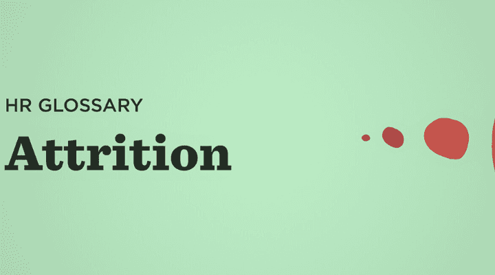 blog-banner